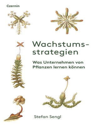 cover image of Wachstumsstrategien